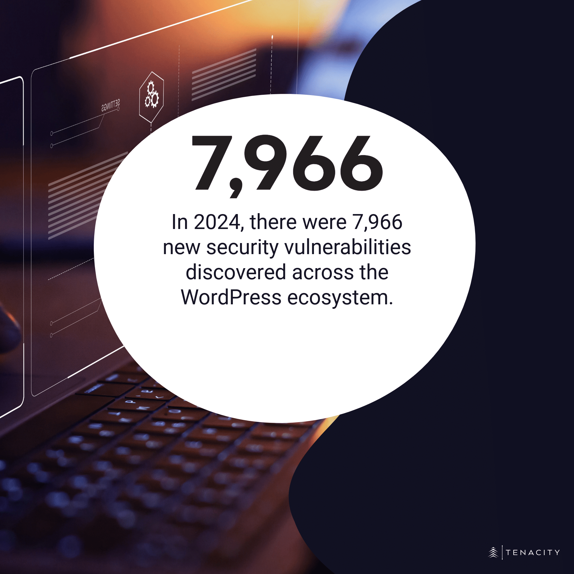 In 2024, there were 7,966 new security vulnerabilities discovered across the WordPress ecosystem.