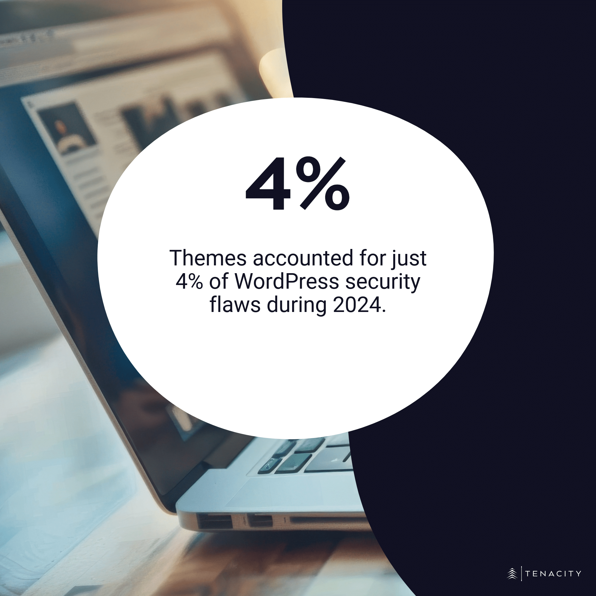 Themes accounted for just 4% of WordPress security flaws during 2024.