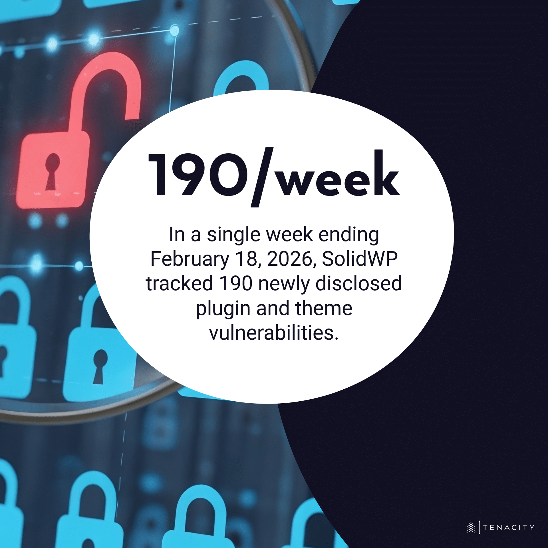 In a single week ending February 18, 2026, SolidWP tracked 190 newly disclosed plugin and theme vulnerabilities.